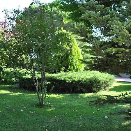 Chic & Country Lecce